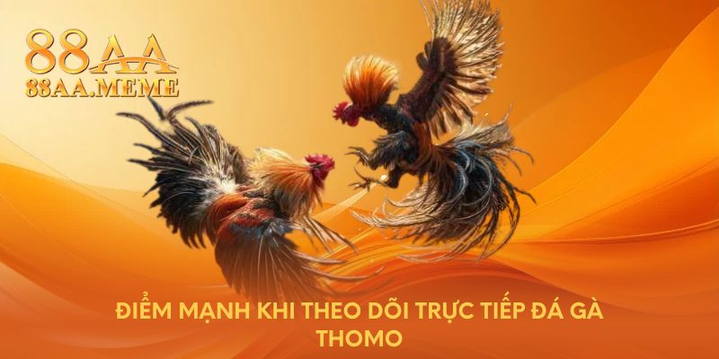 Điểm mạnh khi theo dõi trực tiếp đá gà Thomo